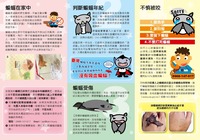 圖片說明