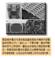 Picture description